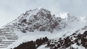 Avalanche ETF staking plans