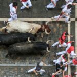 Nifty 50 bull run: Proven factors for market recovery