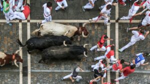 Nifty 50 bull run