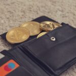 Bitcoin whale wallets: Are they the best investment strategy?