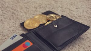 Bitcoin whale wallets