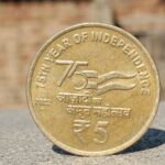 Shellz India Limited IPO: Is It the Best Investment Opportunity?